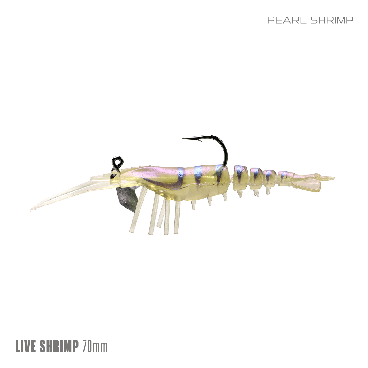Live Shrimp 70mm