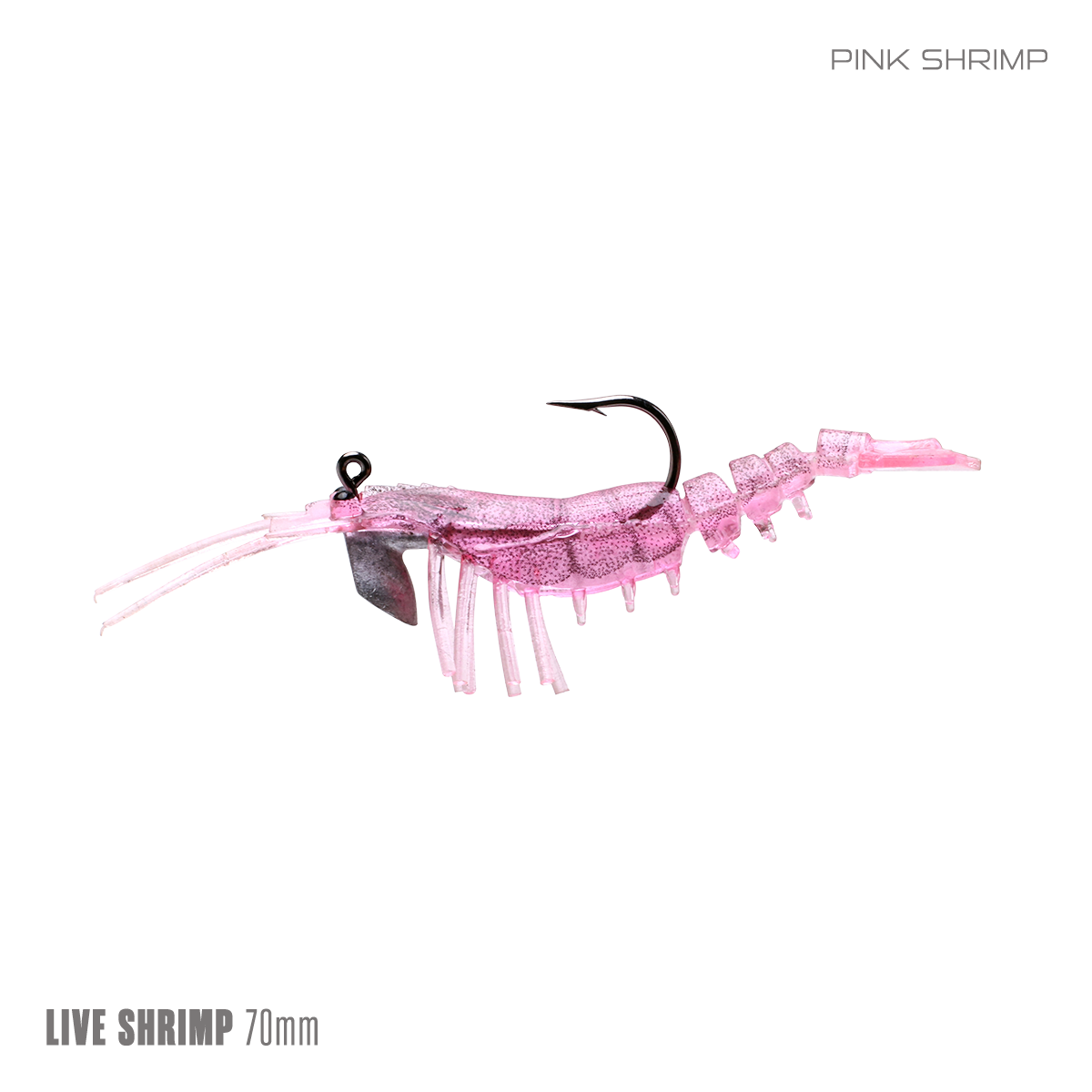 Live Shrimp 70mm