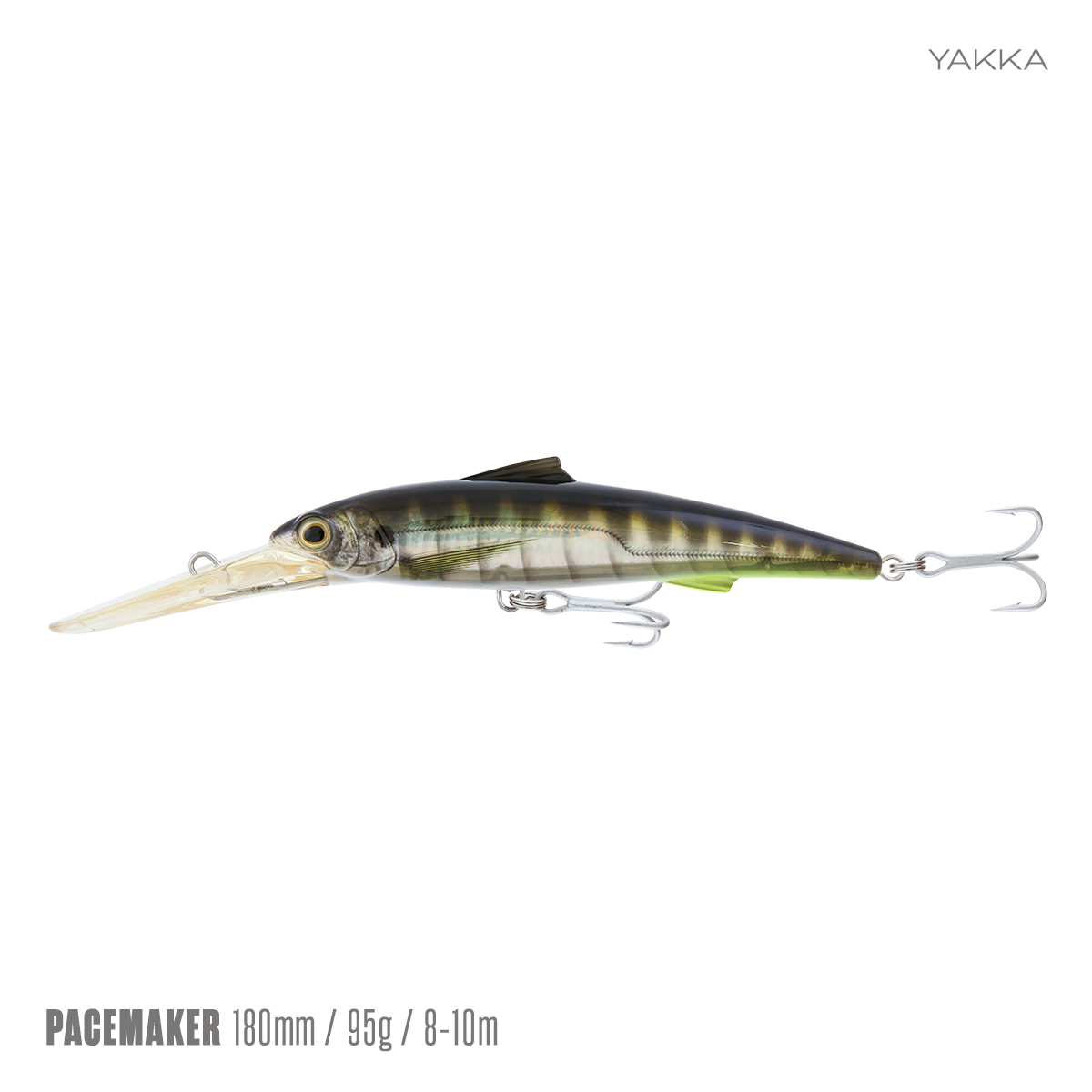 Pacemaker Minnow 180 DD