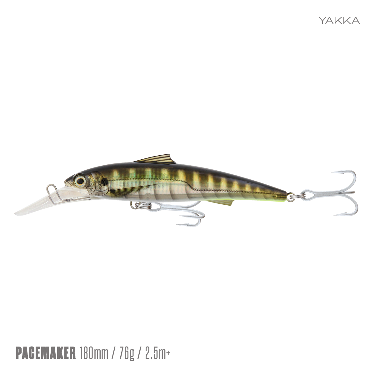Pacemaker Minnow 180 D