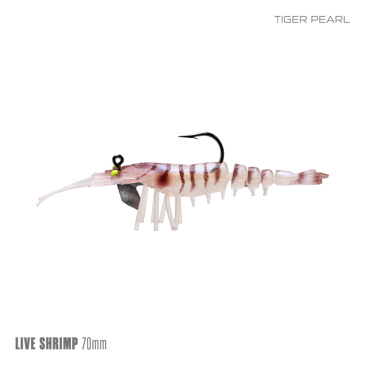 Live Shrimp 70mm